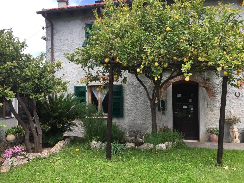 Agriturismo I Lamoi ฟีนาเลลีกูเร ภายนอก รูปภาพ