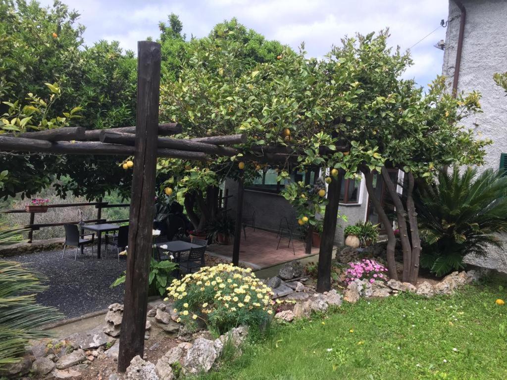 Agriturismo I Lamoi ฟีนาเลลีกูเร ภายนอก รูปภาพ